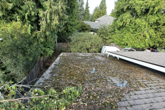 pressure-washing-company_before-after52