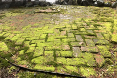 pressure-washing-company_before-after57