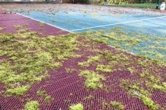 pressure-washing-company_soft-wash_19