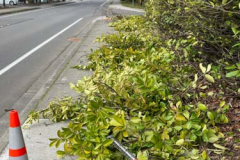 pressure-washing-company_misc_02