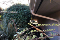 pressure-washing-company_misc_74