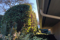 pressure-washing-company_misc_76