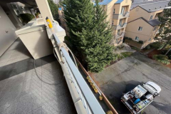 pressure-washing-company_misc_91