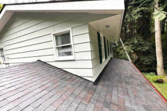 pressure-washing-company_roof_02