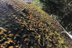 pressure-washing-company_misc_00