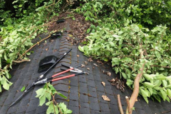 pressure-washing-company_misc_01