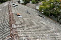 pressure-washing-company_misc_06