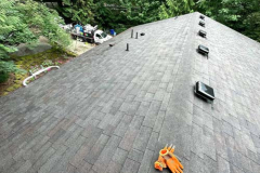 pressure-washing-company_roof_01