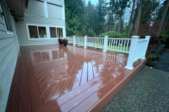 pressure-washing-company_soft-wash_13