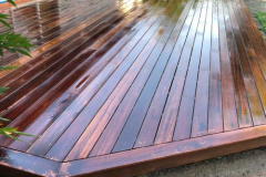 pressure-washing-company_soft-wash_35