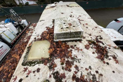 pressure-washing-company_soft-wash_37