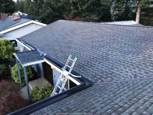 Gutter Cleaning Service | East Side | Pressure Wash